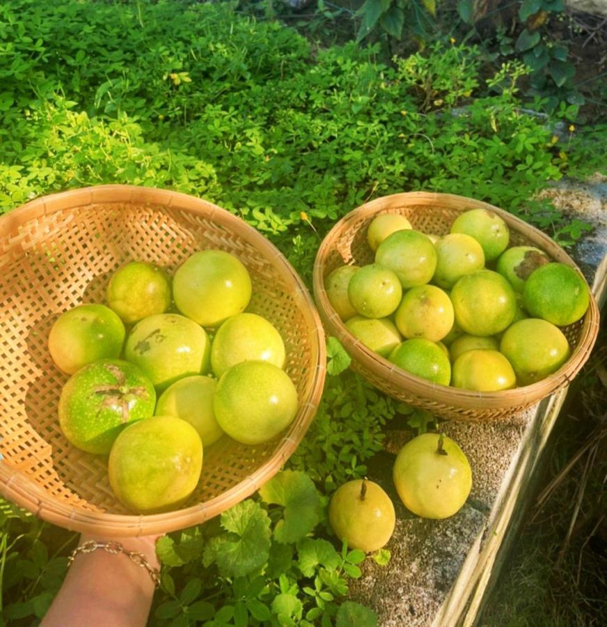 La villa de CoCo Bến Tre Ngoại thất bức ảnh